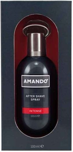 Amando Aftershave 100 ml Intense
